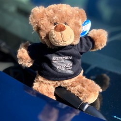 Teddybär - Bremsen macht die Felgen dreckig